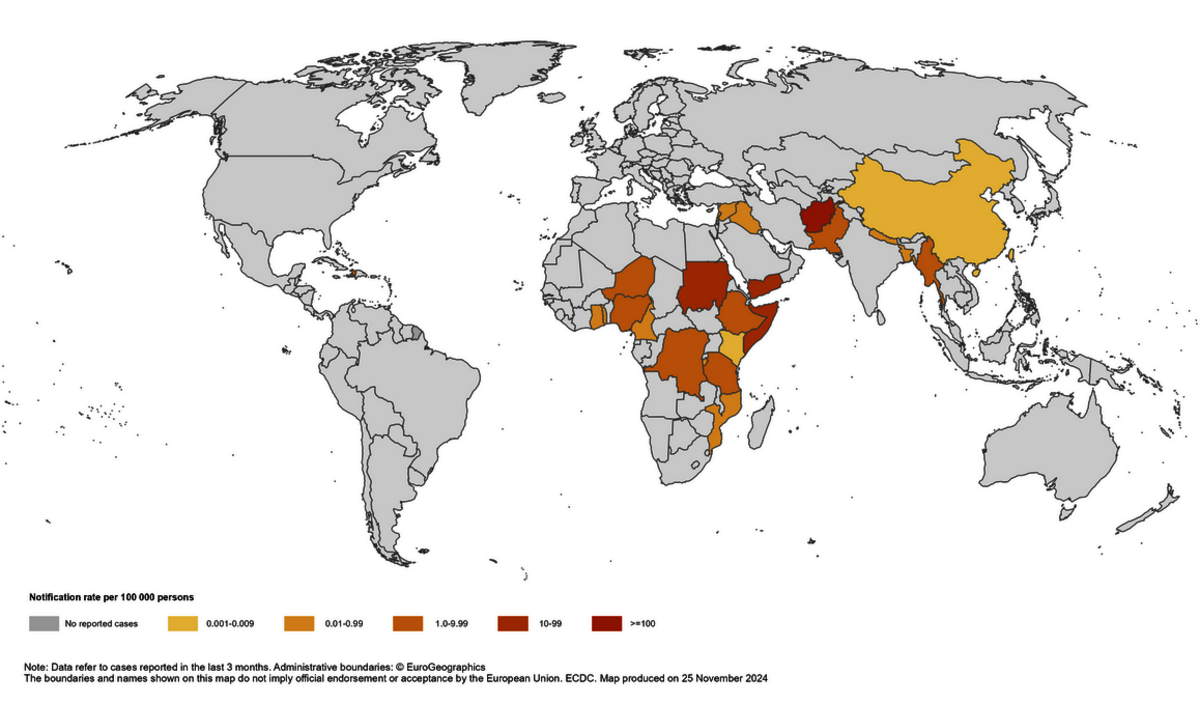 Weltkarte: Cholera-Gebiete im Jahr 2024