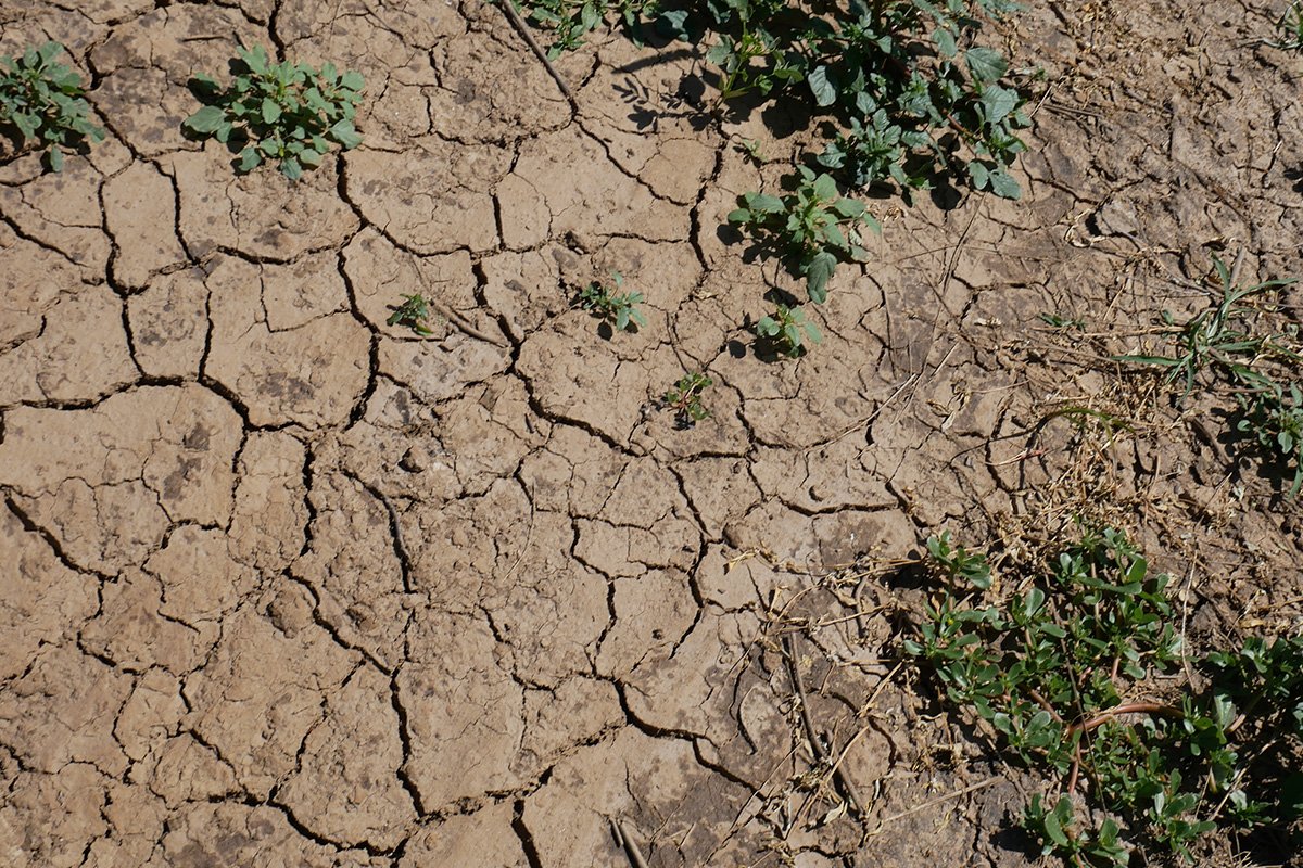 Spenden Mali: Trockener Boden in der Sahelzone