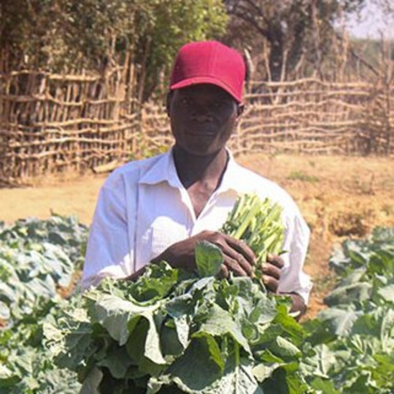 Moses Makombe aus Simbabwe Moses Makombe auf seinem Feld