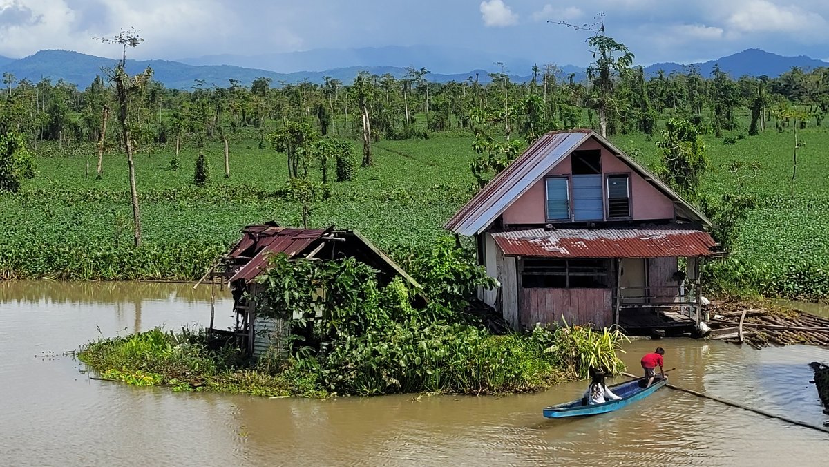 Houses on stilts