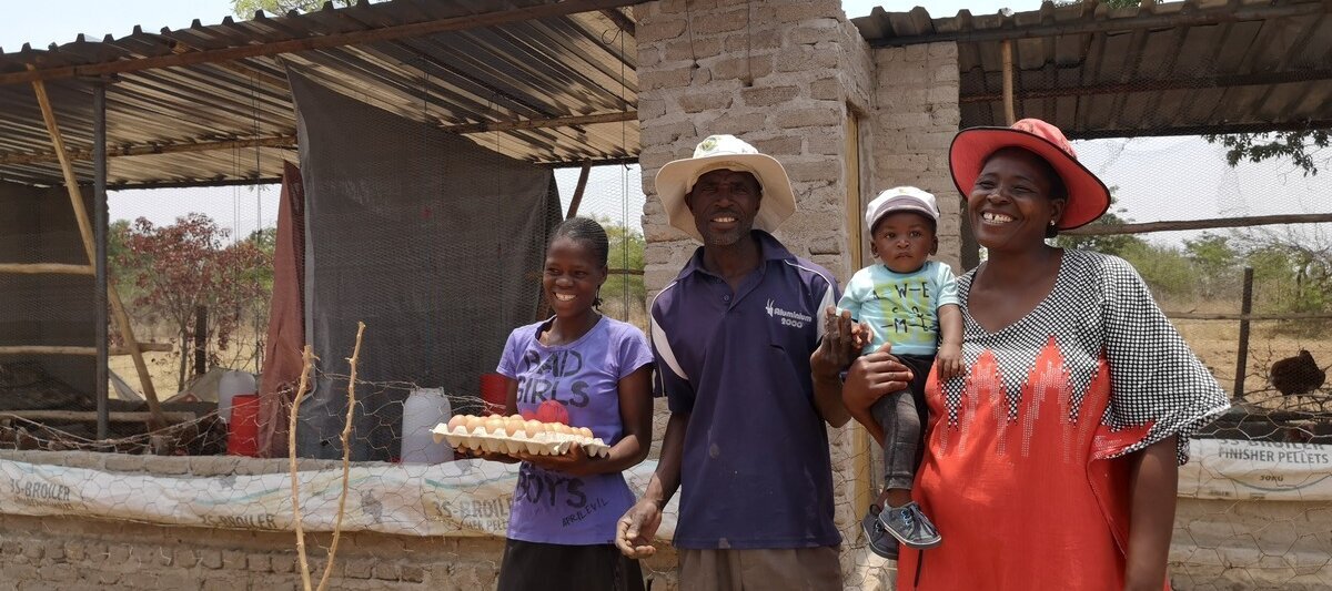 Eierproduktion als Ernährungssicherung in Simbabwe