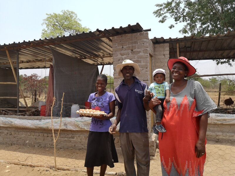 Eierproduktion als Ernährungssicherung in Simbabwe