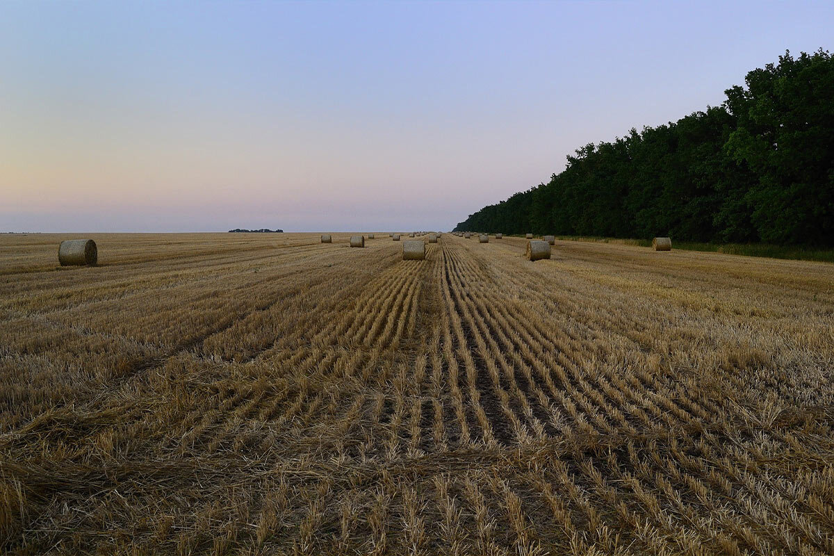 Abgeerntetes Feld in der Ukraine