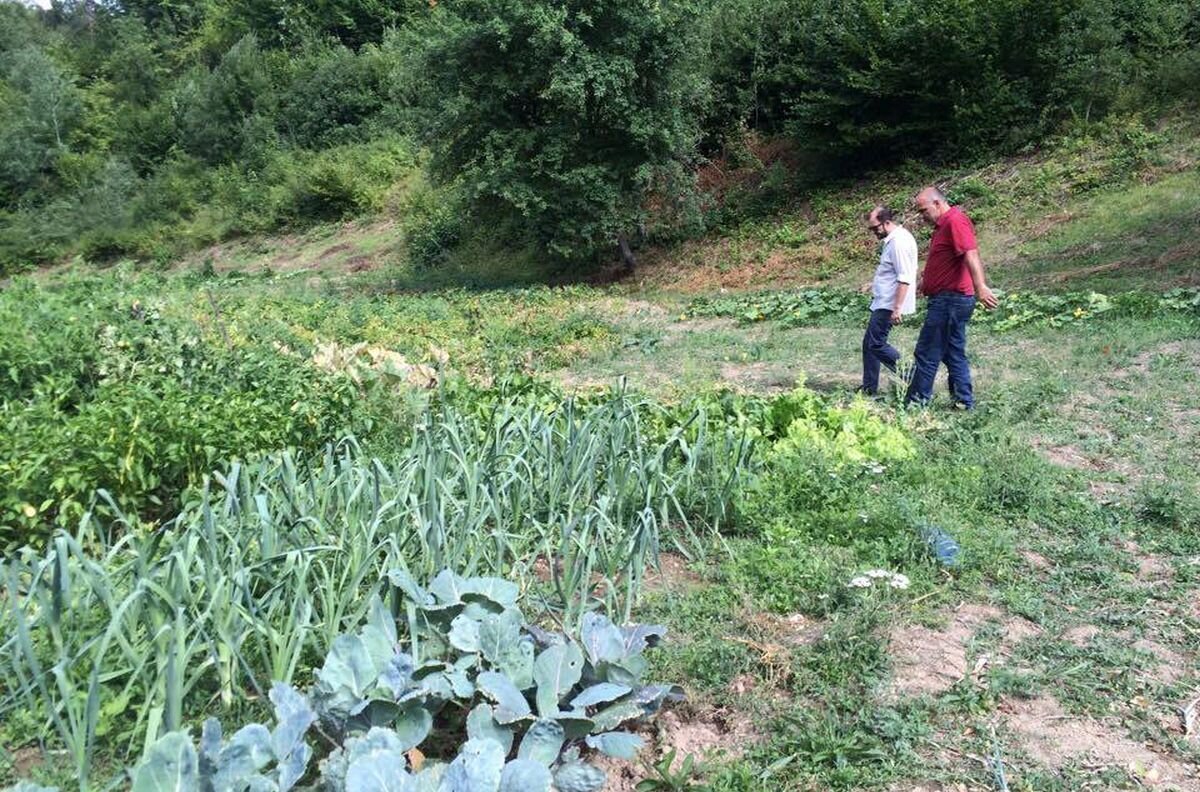 Existenzgruendungen im Kosovo