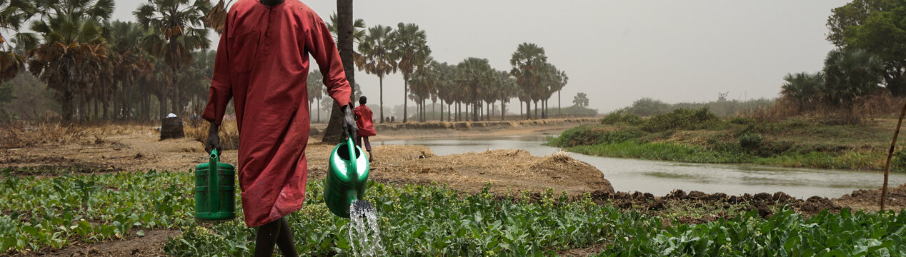 Hunger bekämpfen im Südsudan
