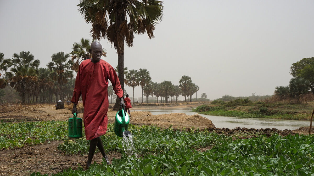 Hunger bekämpfen im Südsudan Hunger bekämpfen im Südsudan