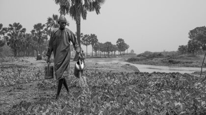 Landwirtschaft im Südsudan