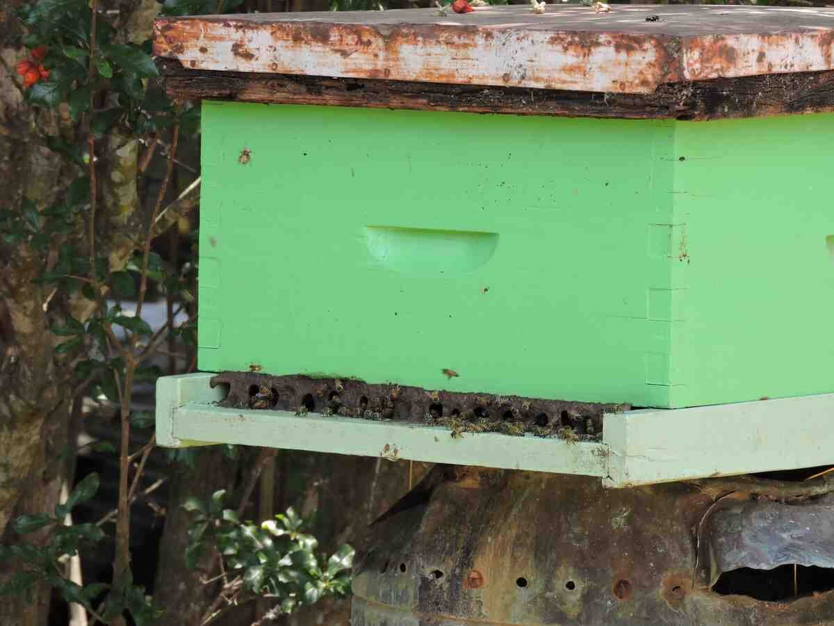 Bienenkasten von Help 