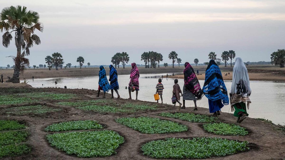 Landwirtschaft im Südsudan