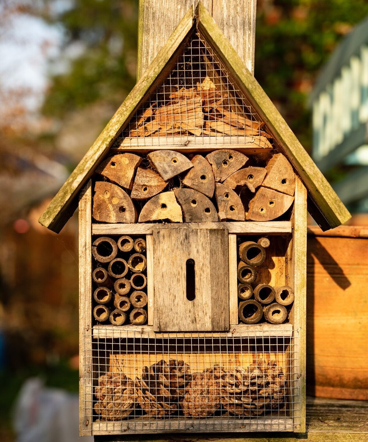 Klimafreundliches Insektenhotel