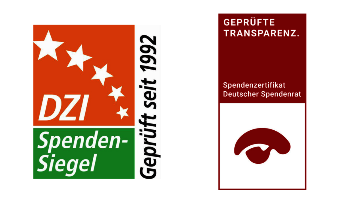 Logos DZI und DSR