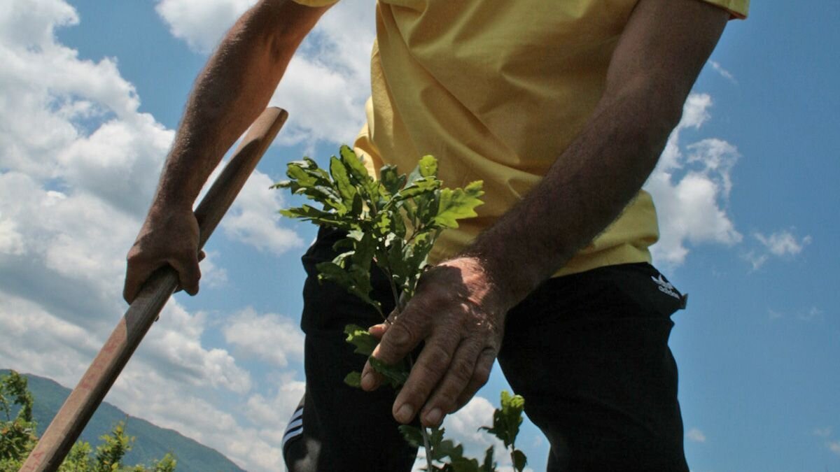 Ein Mitarbeiter von Help pflanzt anlässlich des Jubiläums einen Baum