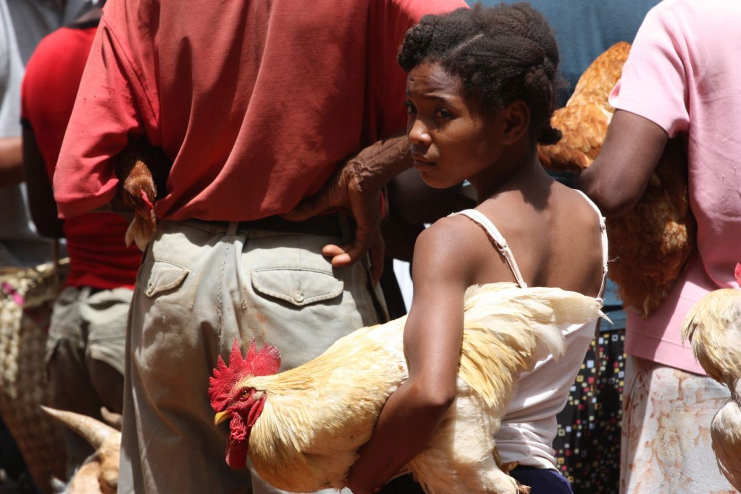 Menschen in Haiti langfristig helfen