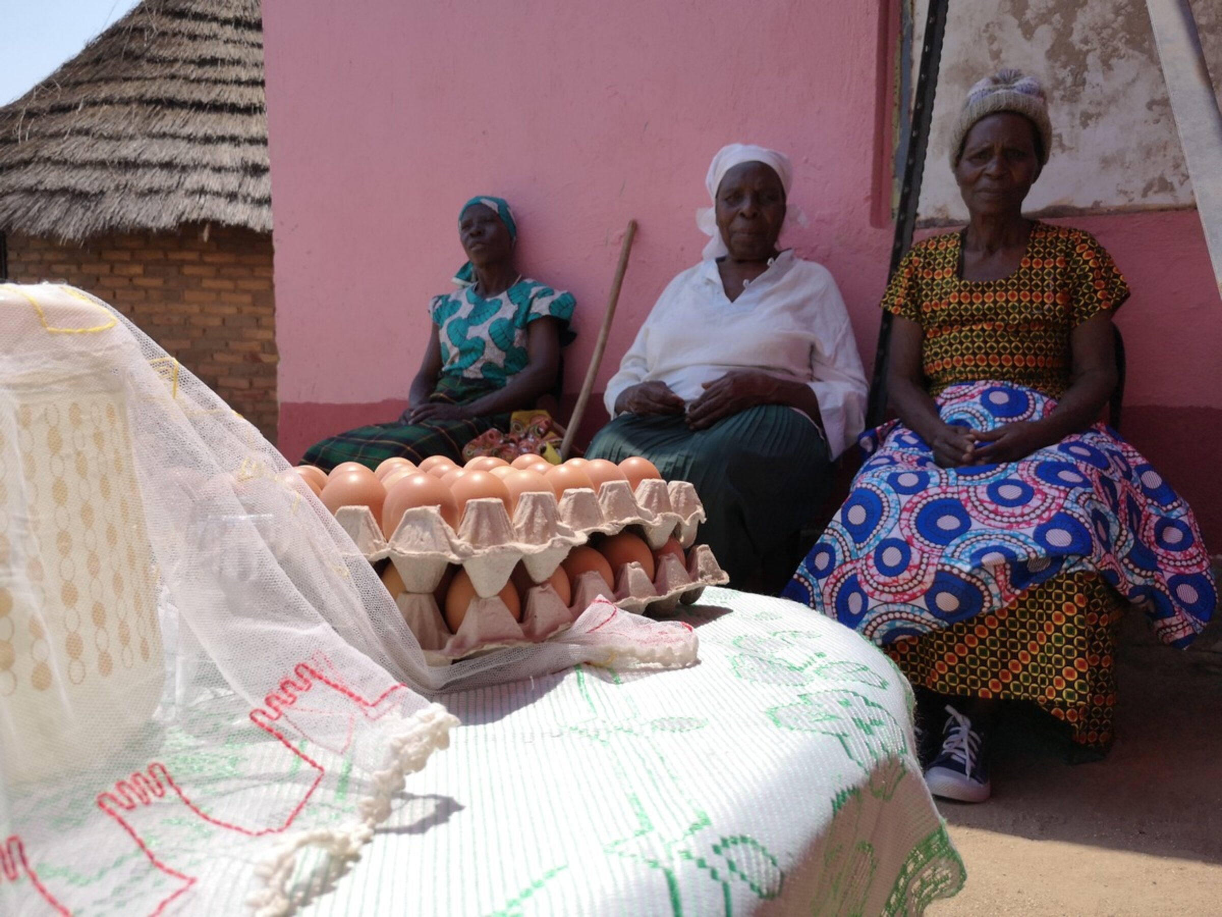 Hühnerzucht und Eierproduktion in Simbabwe