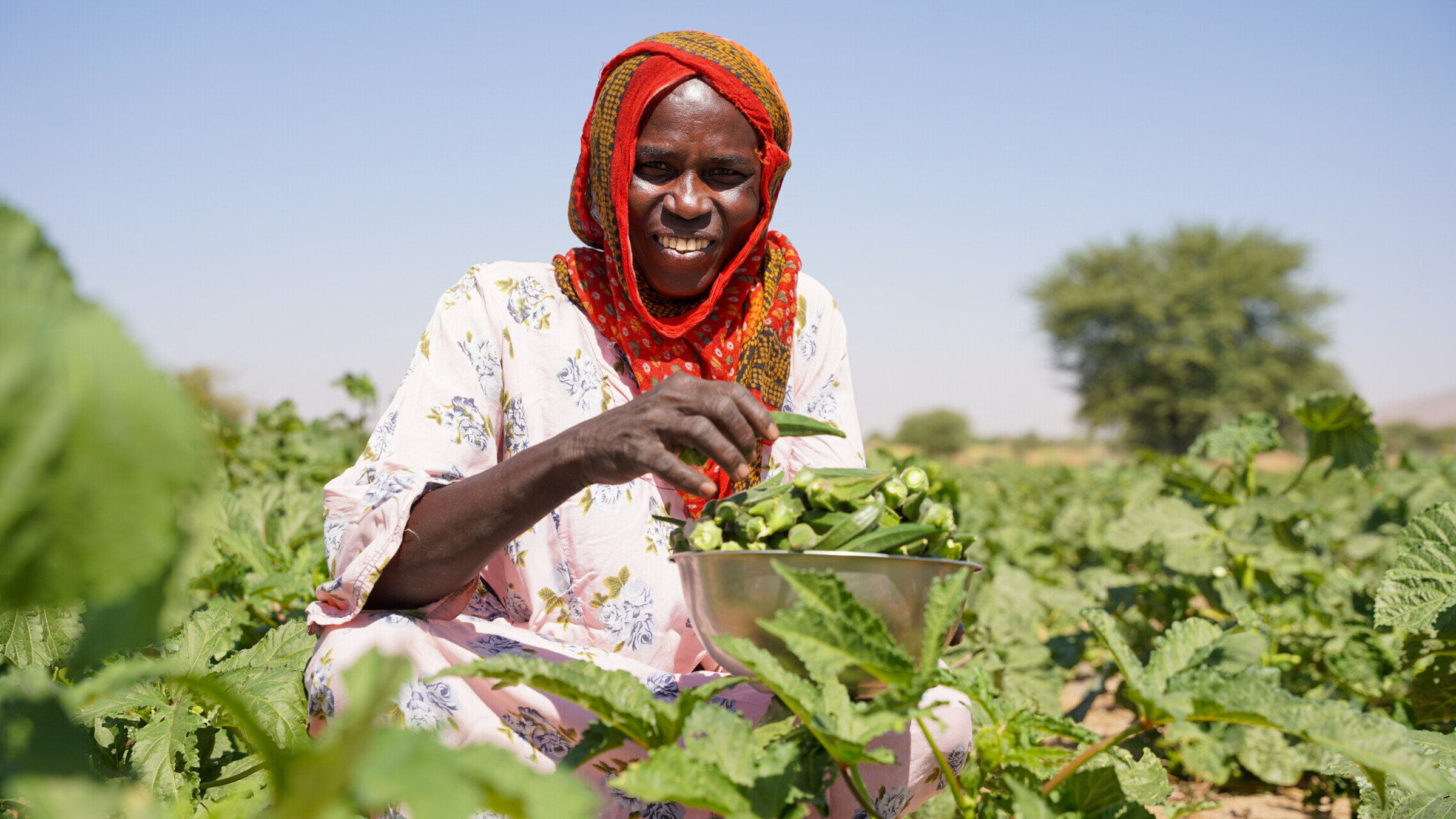 A small farmer sits in a field and presents her harvest