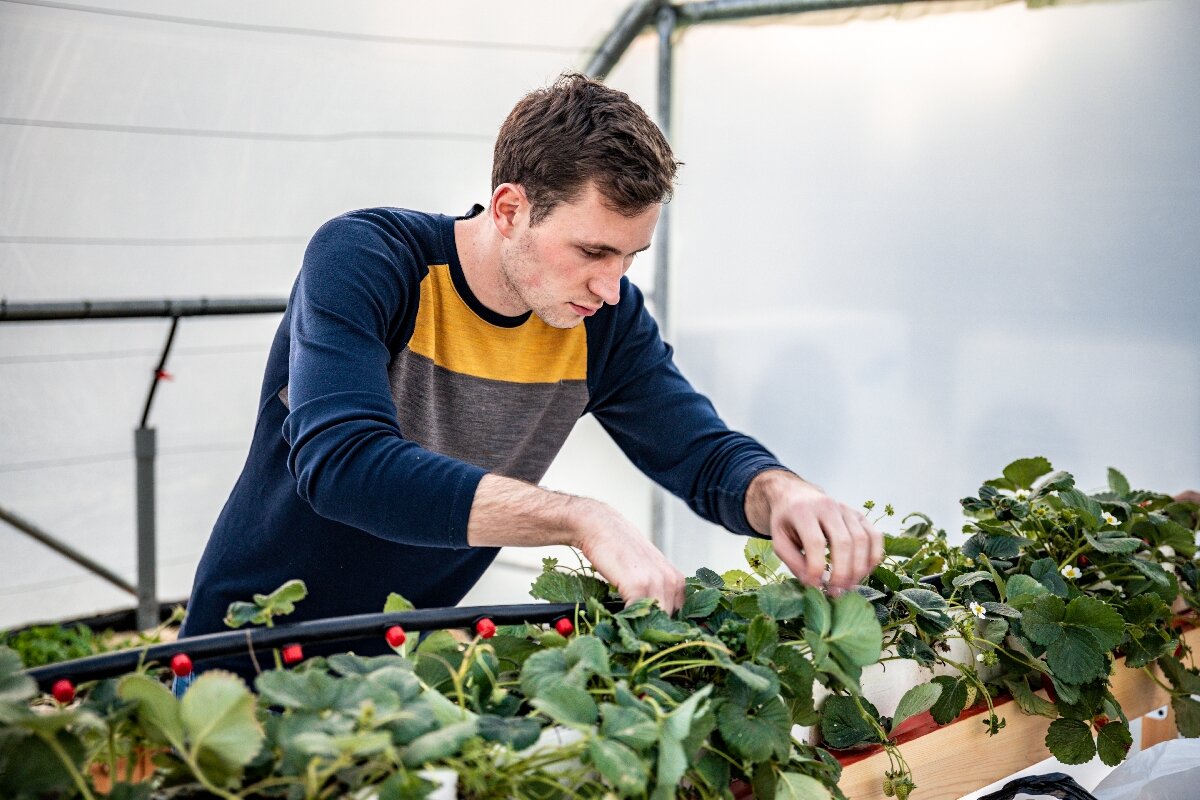 Help Team beim Urban Gardening