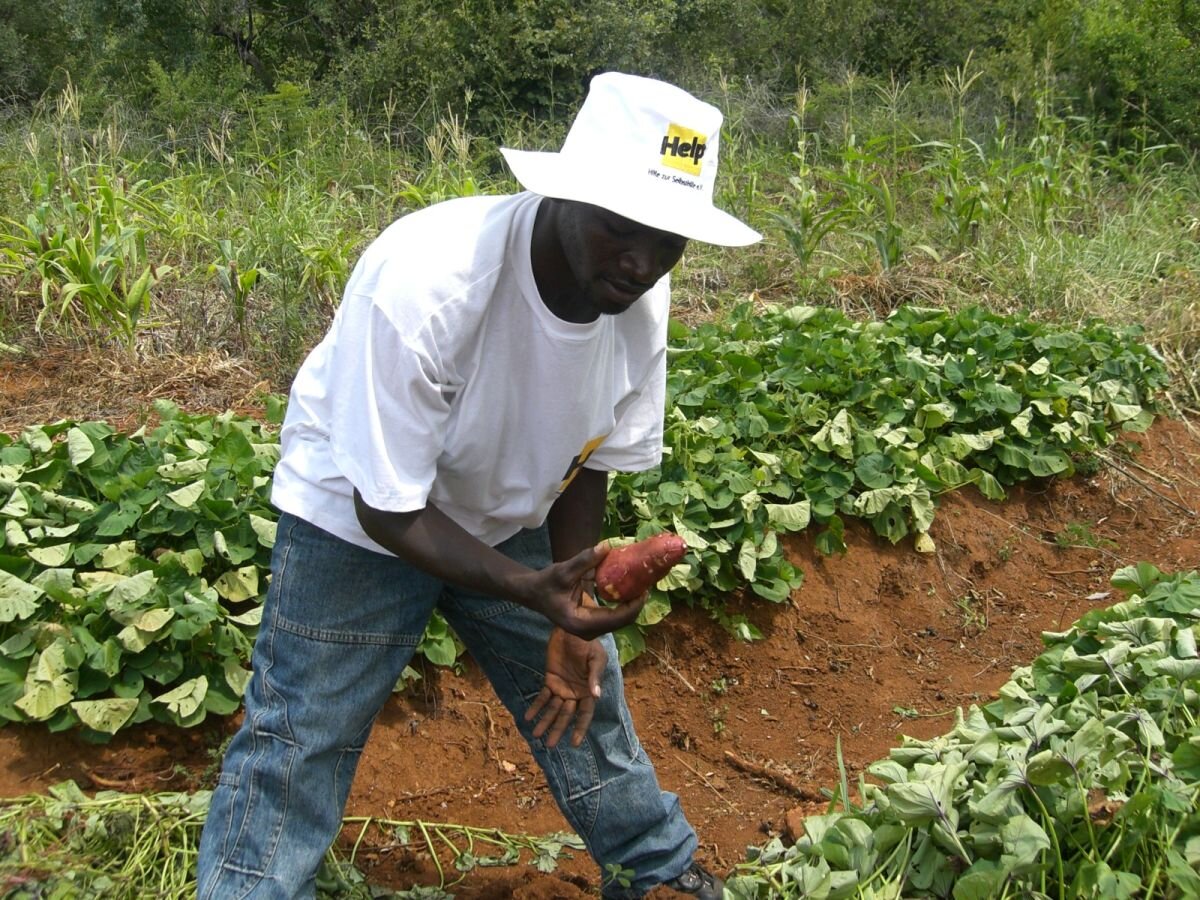Ernährung sichern in Simbabwe