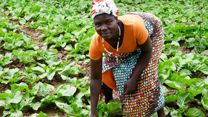 Eine Kleinbäuerin aus Malawi bei der Salaternte