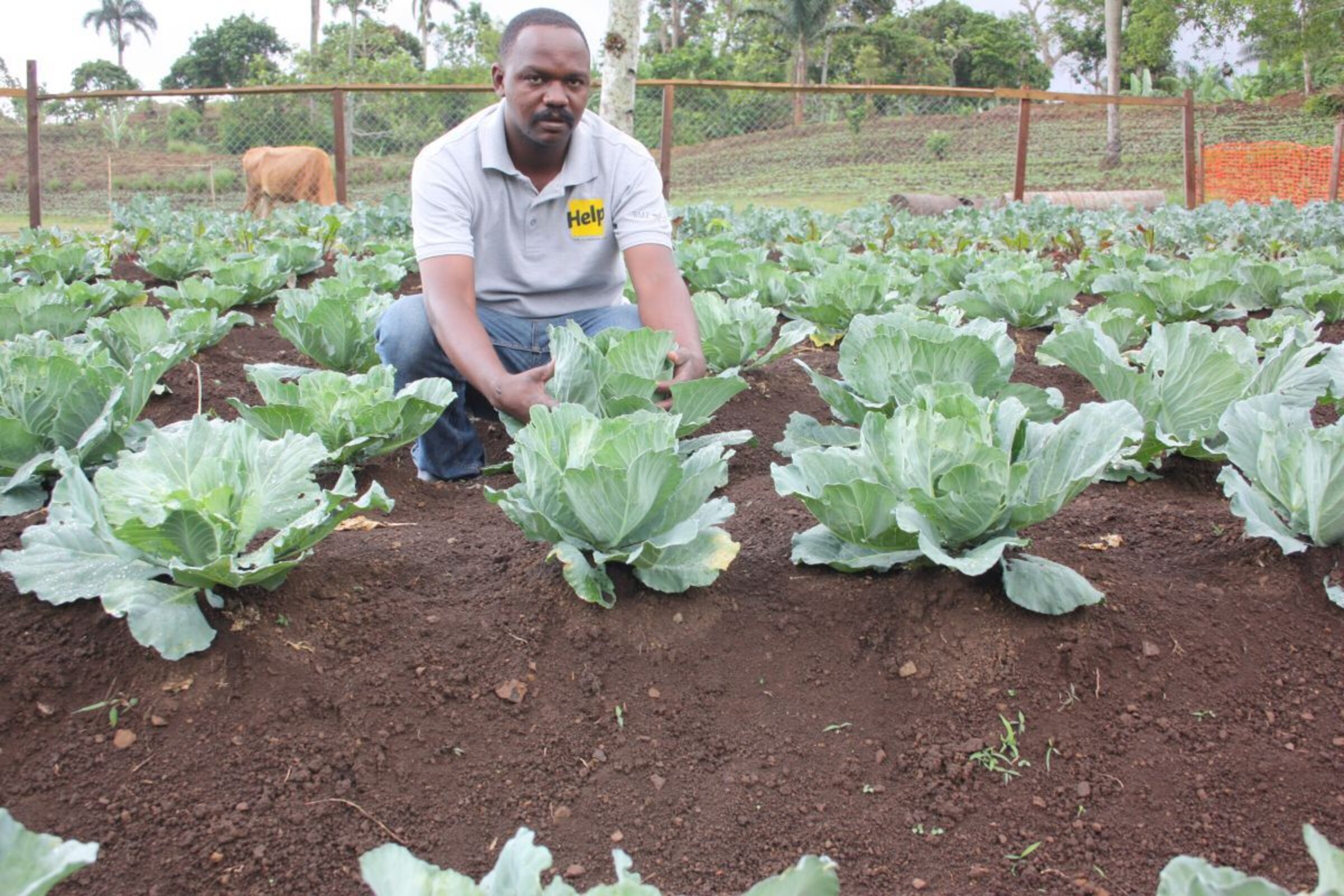Ernährungssicherung in Haiti