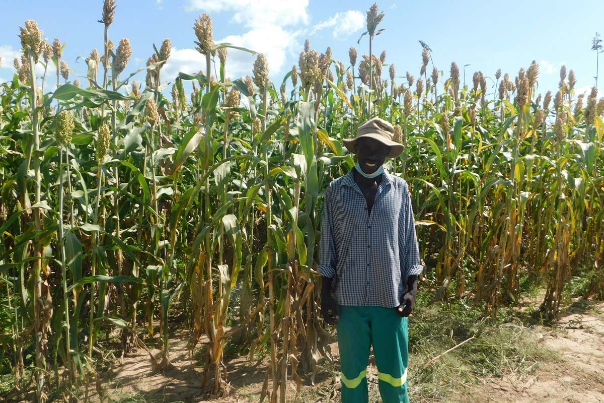Spenden Simbabwe: Lead Farmer:innen steigern ihre Ernte