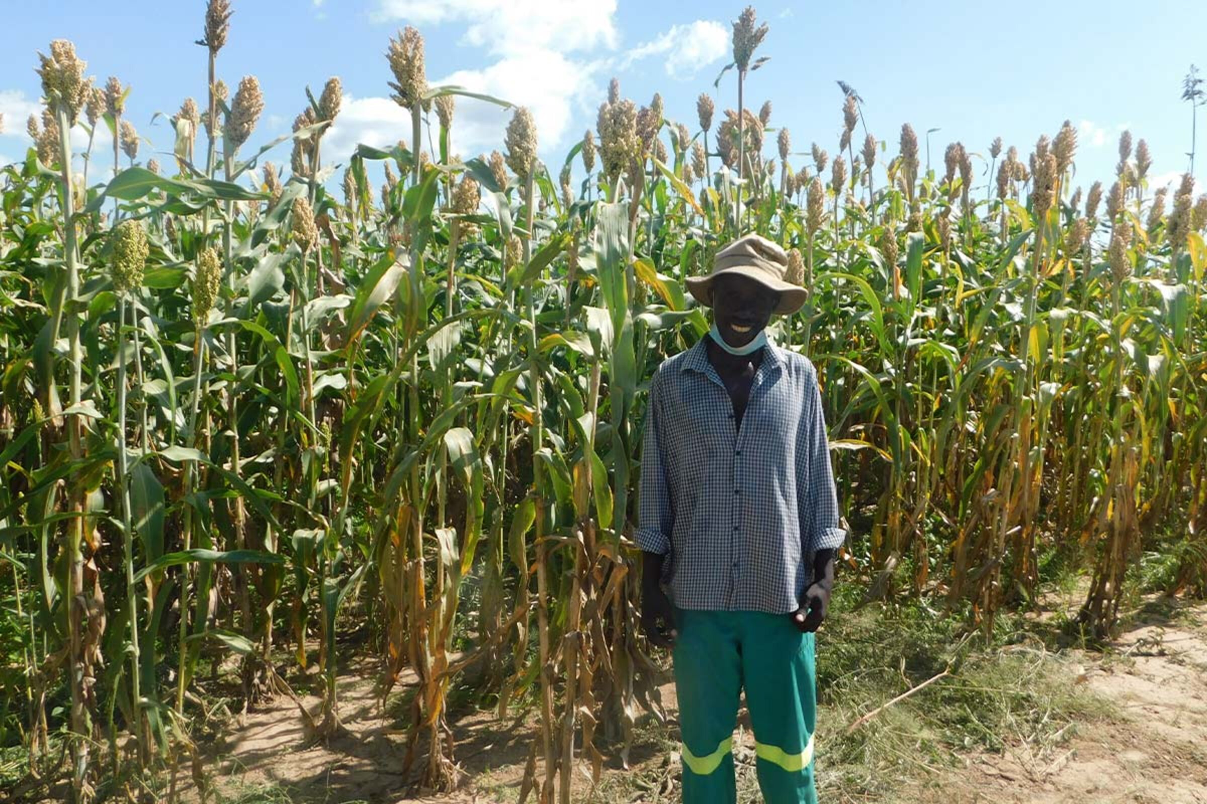 Spenden Simbabwe: Lead Farmer:innen steigern ihre Ernte