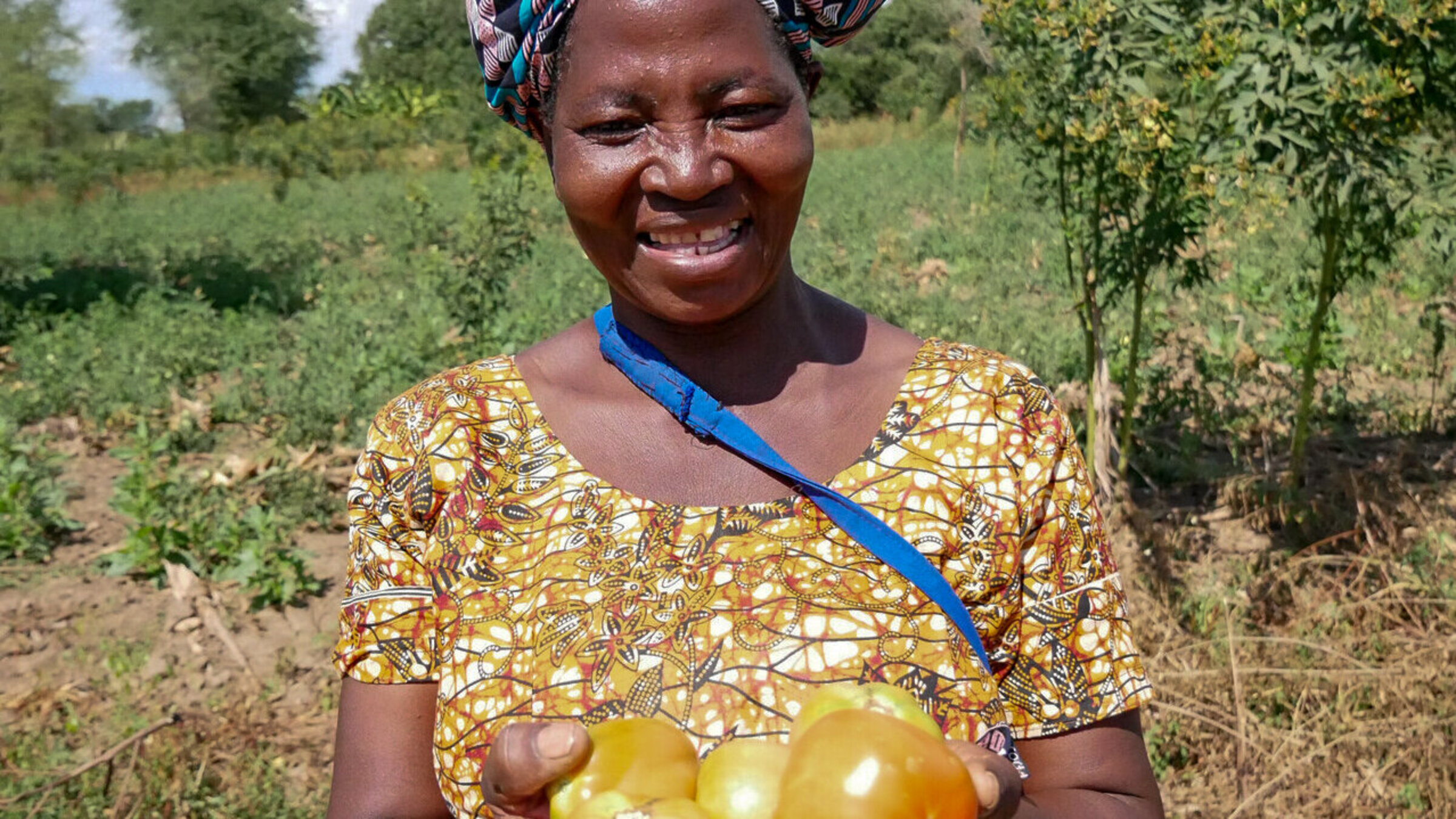 Eine Frau aus Malawi zeigt ihre Tomatenernte