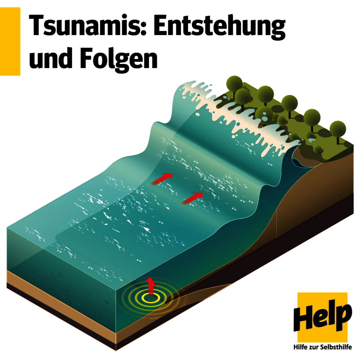 Tsunamis: Entstehung und Folgen Tsunamis: Entstehung und Folgen