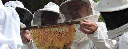 Imker mit Bienenwaben in Simbabwe