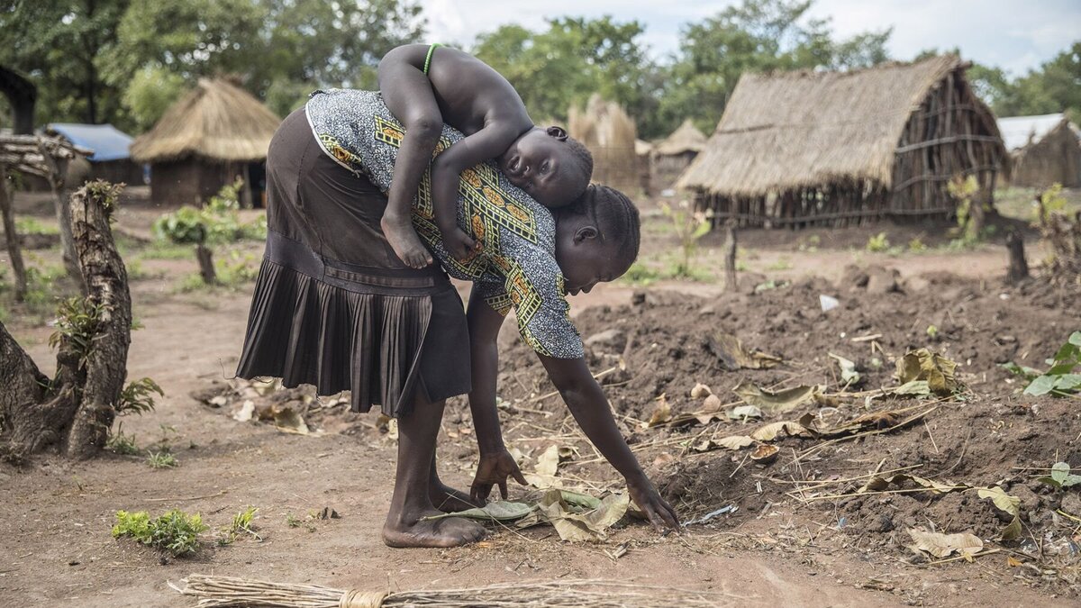 Eine südsudanesische Mutter bei der Ernte mit ihrem Kind auf dem Rücken