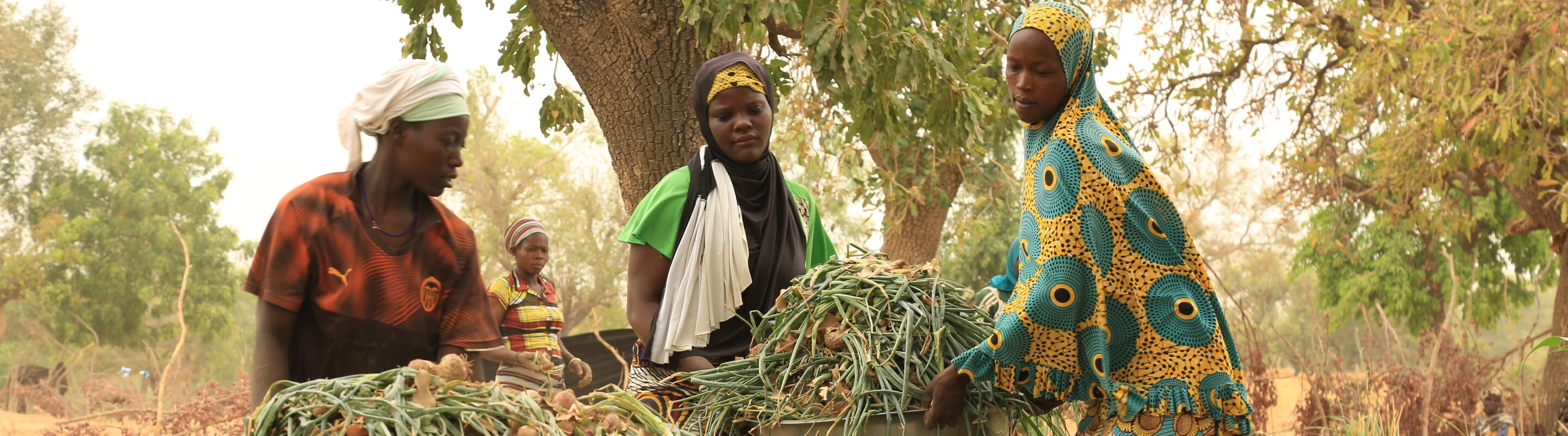 Feldarbeiterinnen bei der Arbeit in Burkina Faso