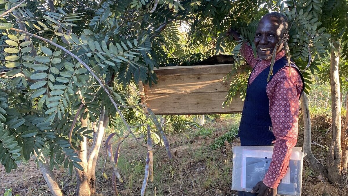 Ein Bienenzüchter aus Malawi vor einem Bienenstock