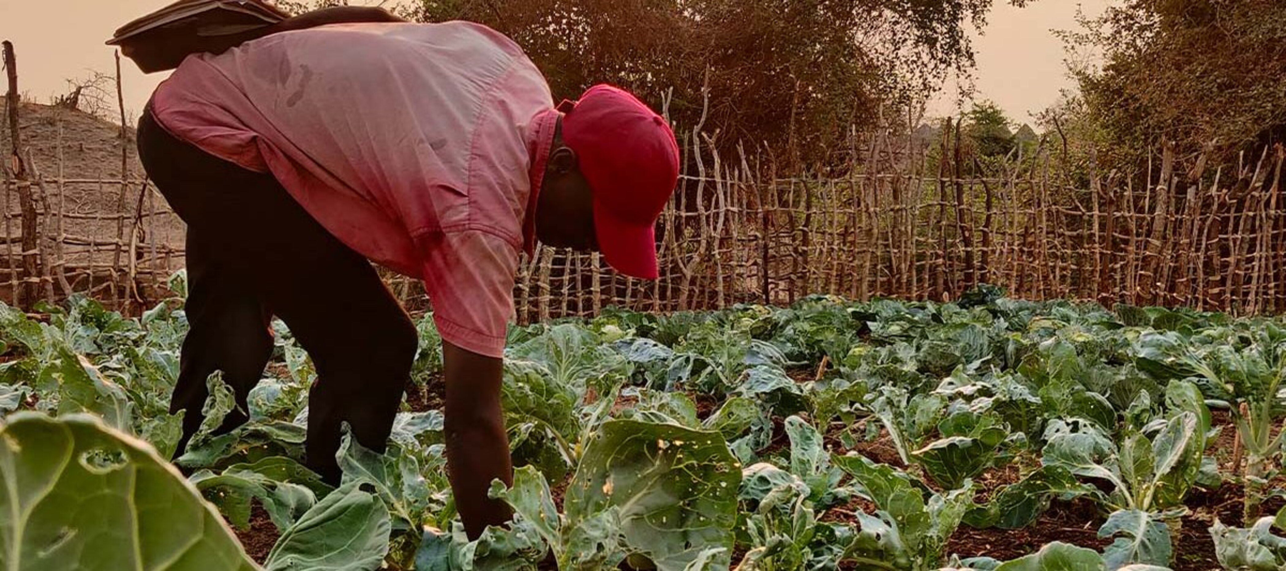 Kleinbauer Moses Makombe aus Simbabwe auf seinem Feld.