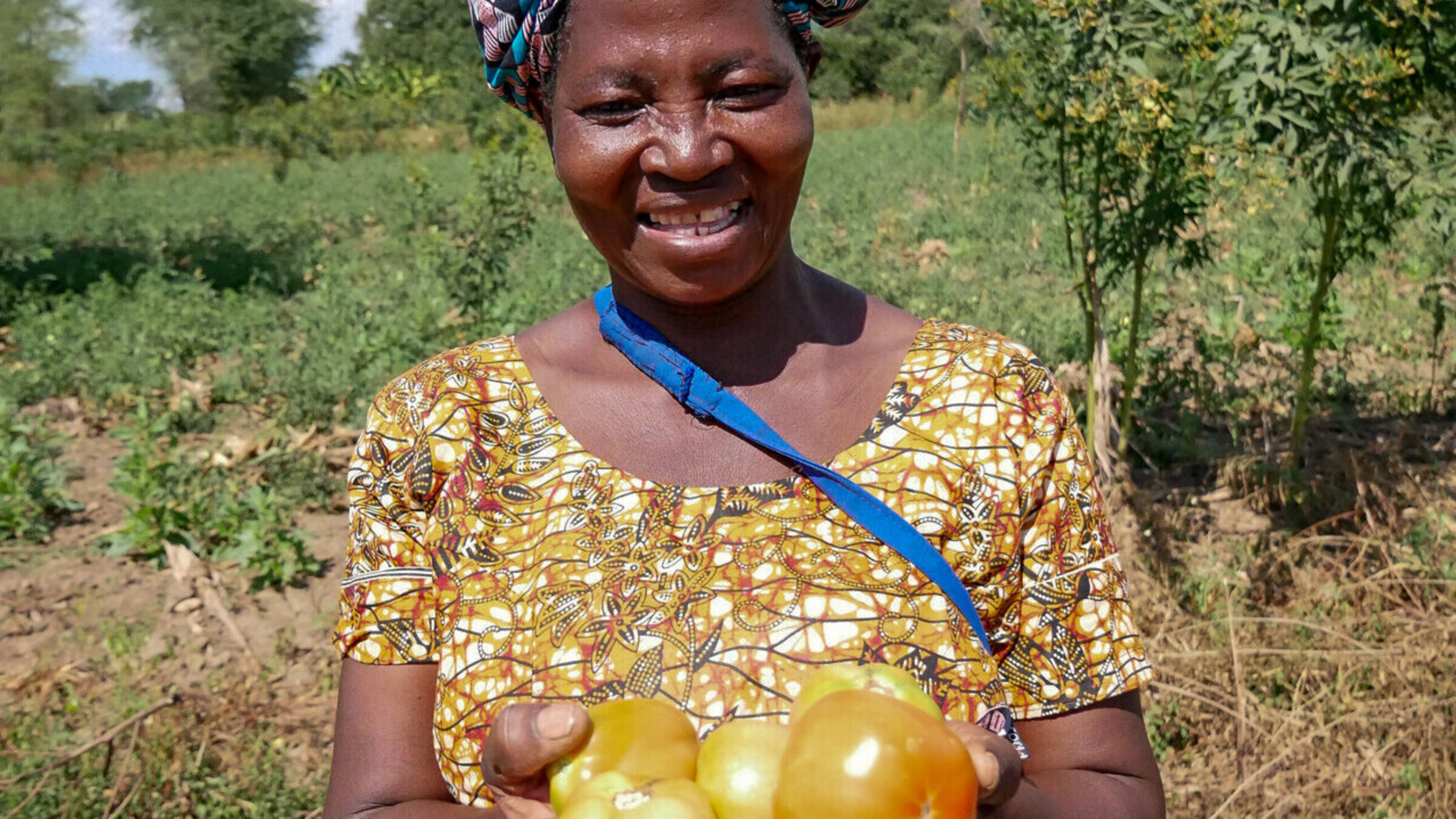 Eine malawische Frau präsentiert ihre Tomatenernte