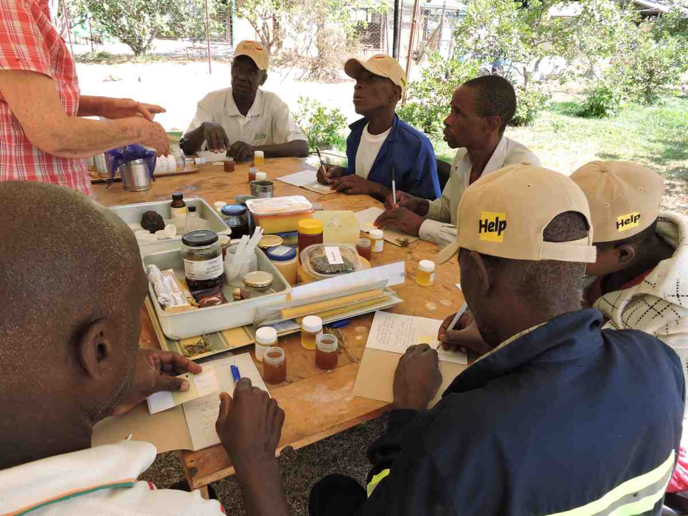 Imker Schulung in Simbabwe