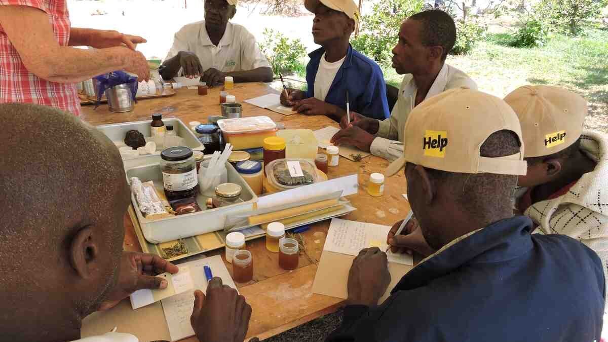 Imker Schulung in Simbabwe