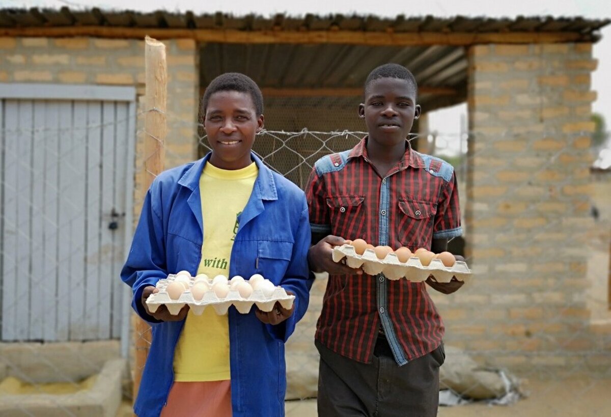 simbabwe spenden hühnerzucht Eierproduktion in Simbabwe