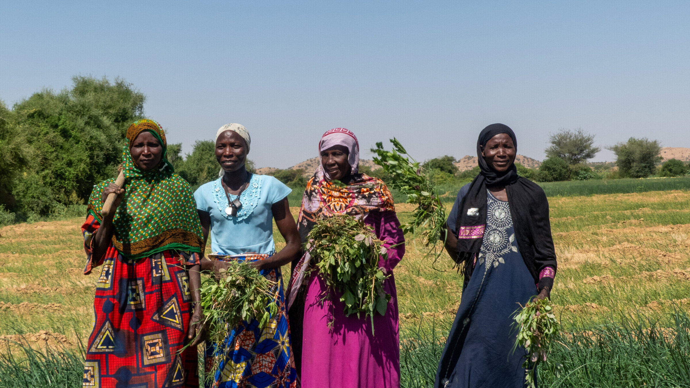 Four Chadian women present their harvest.