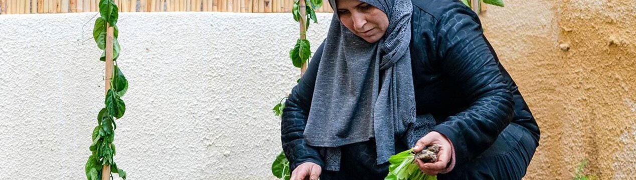Urban Gardening in Jordanien