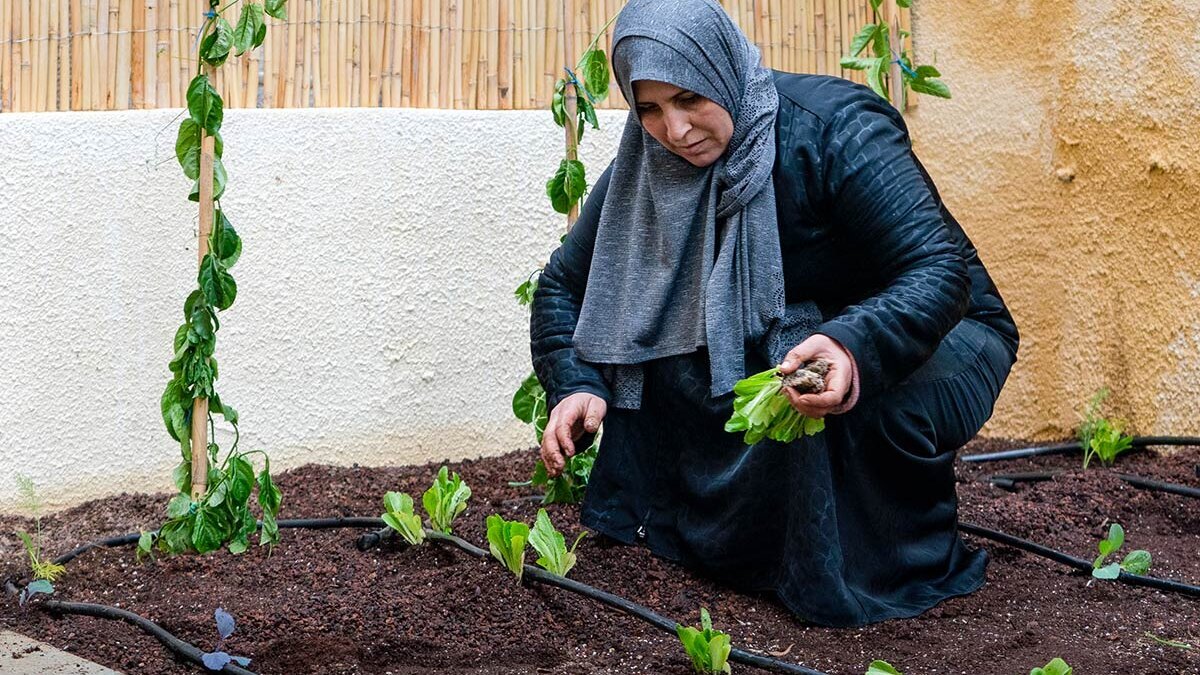 Urban Gardening in Jordanien