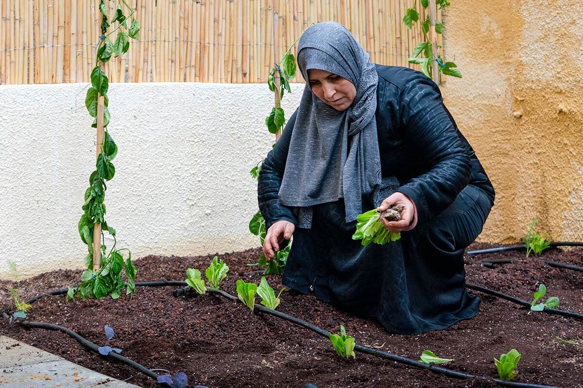 Urban Gardening in Jordanien Urban Gardening in Jordanien