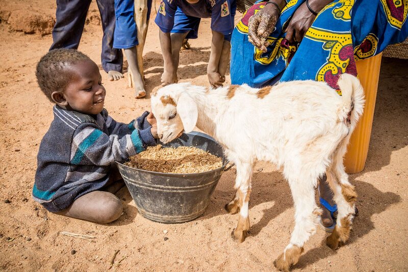 Spenden Niger: Nigrisches Kind mit Ziege